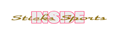 �X�e�B�b�N�X �X�|�[�c